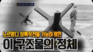 노르망디로 상륙했던 결정적 이유⚓ 노르망디 상륙작전#2