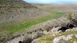 Satirhoyuk Kalecik Dagi