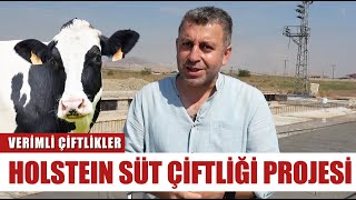 0'dan Çiftlik Projesi! Minimum Maliyet Maksimum Kazançla Holstein Süt Çiftliği l Verimli Çiftlikler