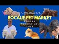 BOCAUE PET MARKET II MGA ASO AT PUSA II MGA NA TATANGING MGA KULAY SA MURA HALAGA
