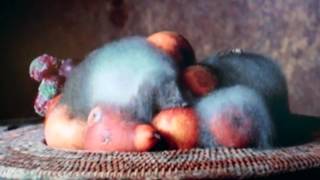 Still Life by Sam Taylor-Wood