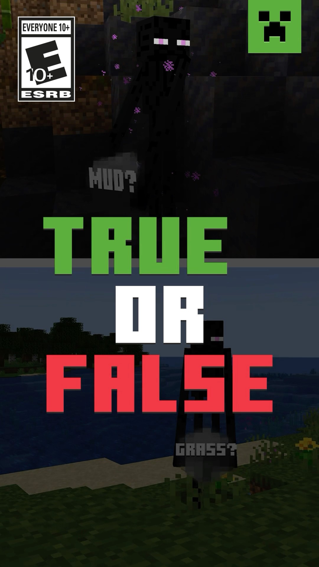 TRUE OR FALSE?