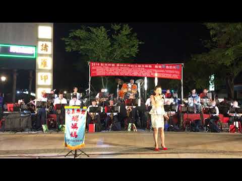 嘉義市鵝媽媽公益樂團107/5/5–請你讓我走—蔡麗敏