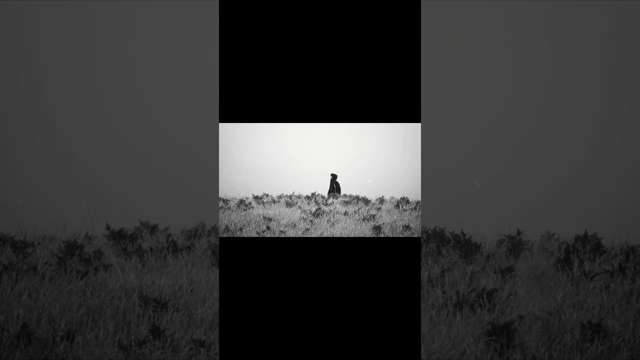 Reflect – Short Film Teaser | Anyeed #shorts