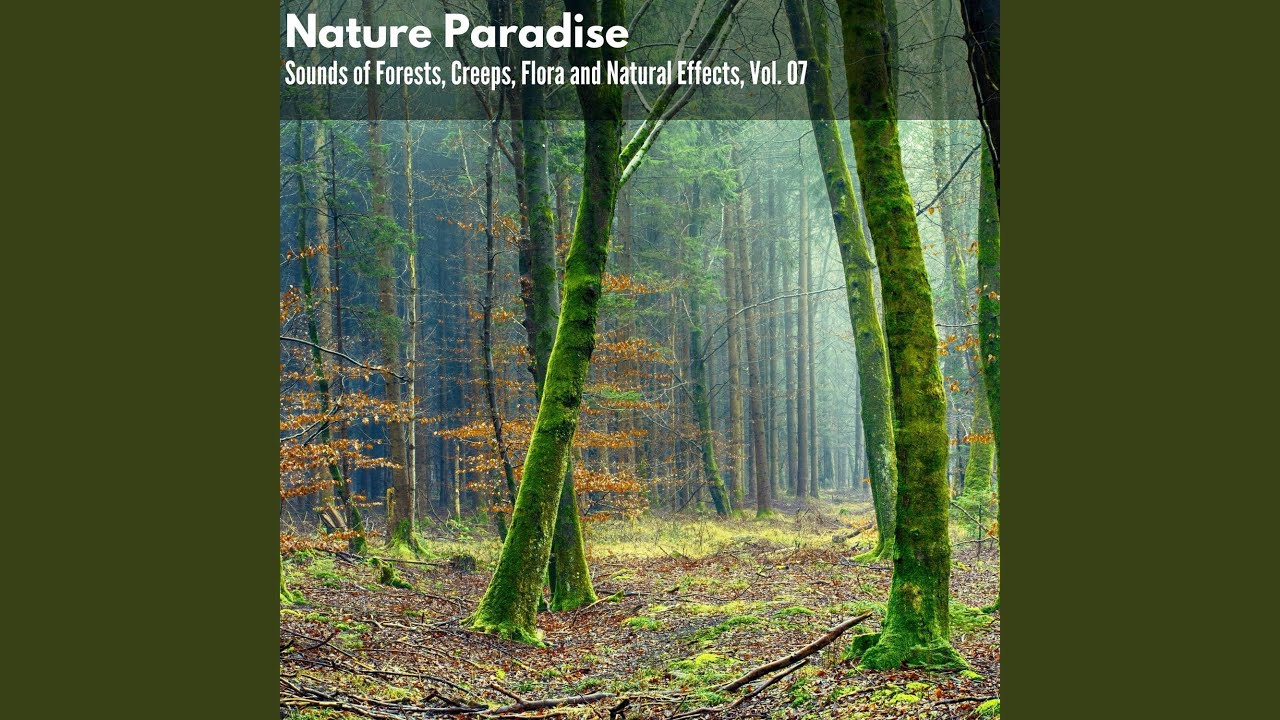 Elegant New York Waves