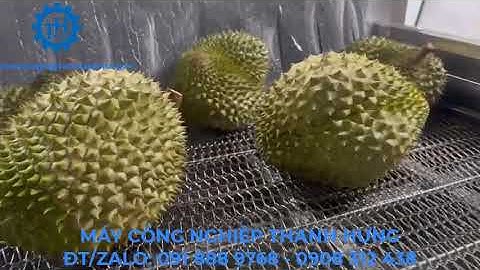 MÁY RỬA SẦU RIÊNG, MÍT CÔNG NGHIỆP  - BĂNG TẢI RỬA TRÁI TỰ ĐỘNG GIÁ RẺ TẠI TP HỒ CHÍ MINH