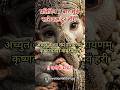 दक्षिणेश्वर काली का इतिहास🥓 #ytshorts #youtubeshorts #shortsfeed #mahadev
