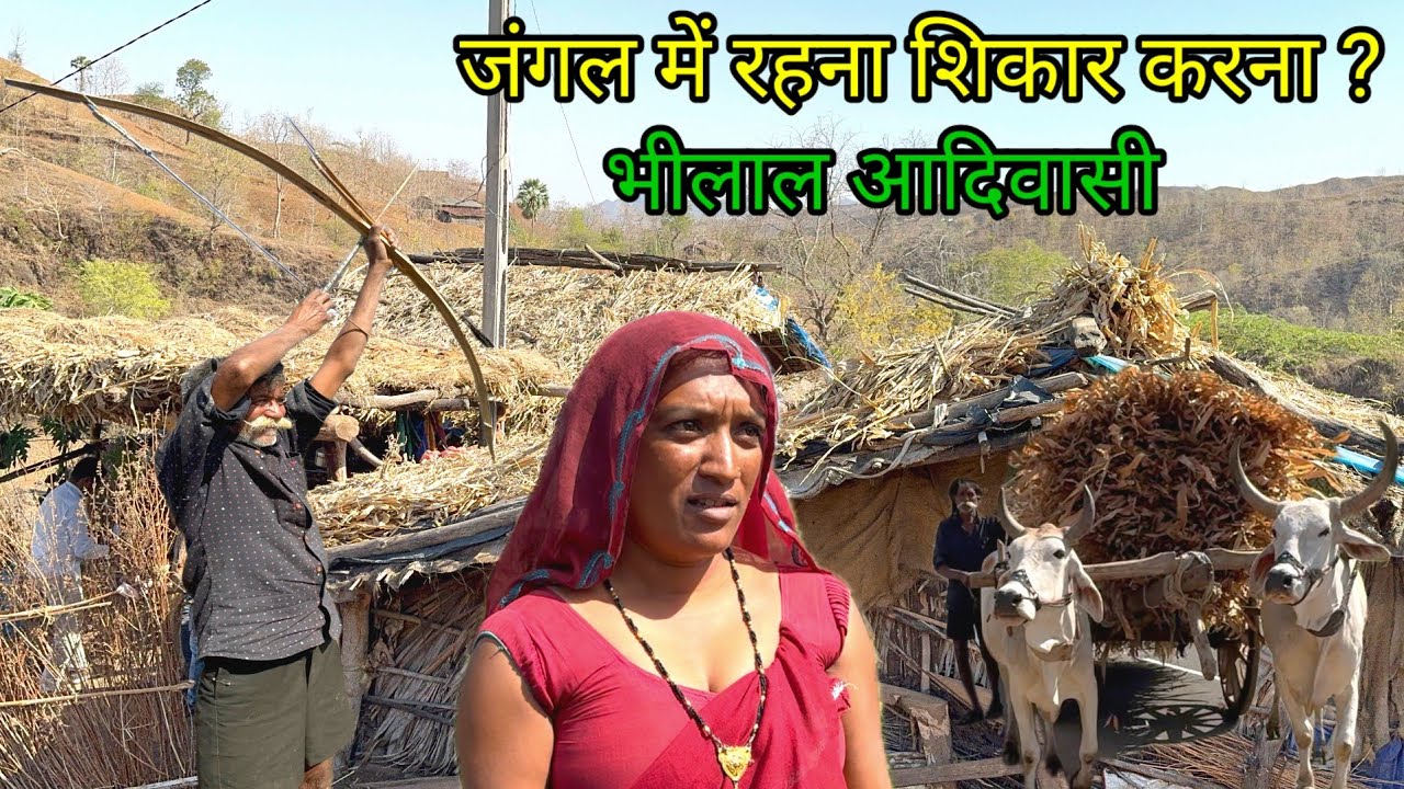 तीर भालू से जंगली जानवर को भागते हैं  || Aadiwasi bheel tribe || भिलाला आदिवासी के अनोखे काम |