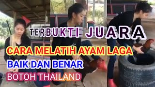 Mod Phayao MELATIH AYAM DENGAN BAIK DAN BENAR - VIRAL WANITA CANTIK HOBI AYAM DI THAILAND