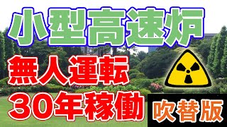 【10周年記念】東芝の小型高速炉『4S』について【声優吹替版】