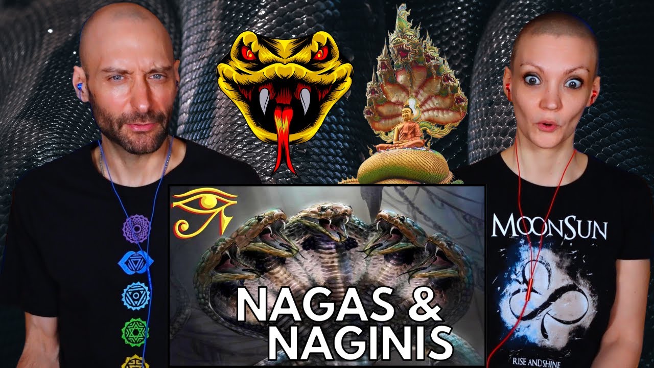 Nagini And Naga Explained Mythology REACTION YouTube nagini-and-naga-explained-mythology-reaction-youtube