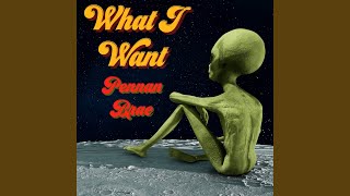 What I Want (Remastered)