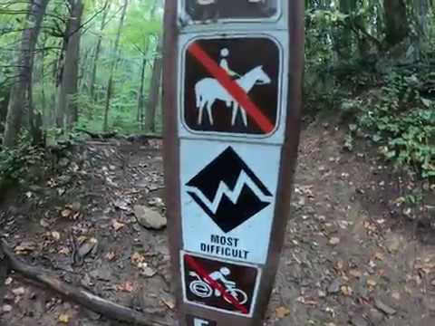 Solo hiking in the rain | Daniel Ridge/Farlow Gap | Pisgah National Forest