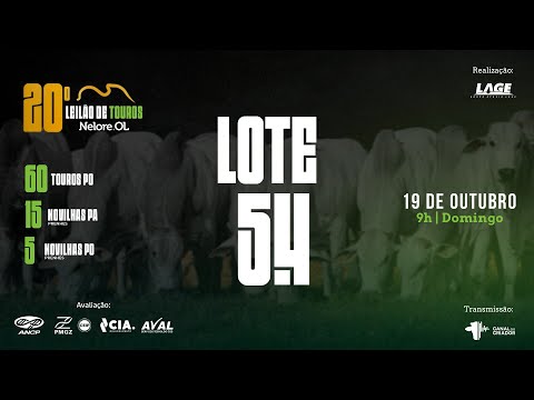 LOTE 54 A6245 PO/CEIP - 20º Leilão de Touros Nelore OL