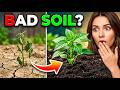 Struggling With Poor Soil Try This EASY Garden Fix That Works FAST!
