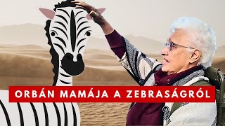 Download Lagu Miért nem tűnik hazugságnak, hogy szerinte nincs is Zebra Hatvanpusztán? (Vélemény) MP3 Download Lagu Miért nem tűnik hazugságnak, hogy szerinte nincs is Zebra Hatvanpusztán? (Vélemény) MP3
