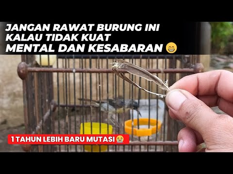 ผลสลากกินแบ่งรัฐบาล วันที่ 1 พย. 2567