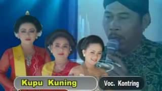 TAYUB GEMBLUNG BUDOYO-LANGEN BEKSAN-KUPU KUNING