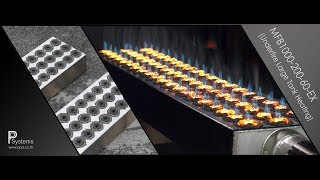 SPEAR-BLUE ® FLAME l Blueflame Gas Burner for Tank Heating MFB1000-200-60-EX l PP Systems