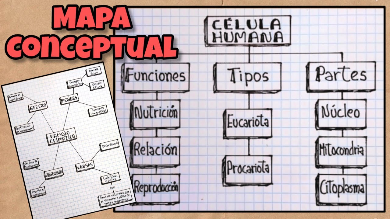 Como Hacer un MAPA CONCEPTUAL en 5 Pasos - YouTube