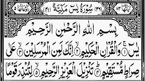 প্রতিদিন সকালে শুনুন - সূরা ইয়াসীন |(سورة يس) Surah Yasin | সকালের সেরা আমল | Read Al-Quran*
