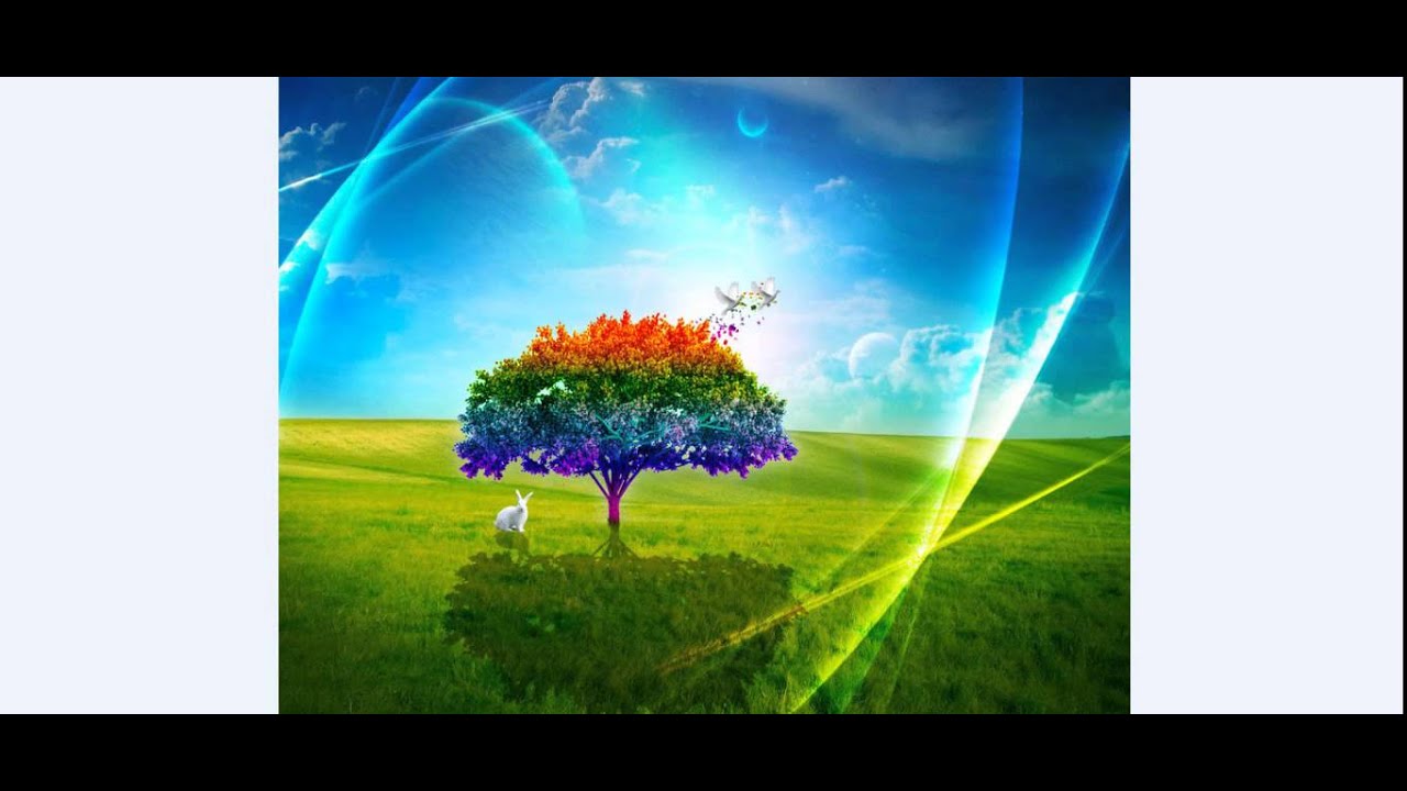 Nature Wallpapers HD