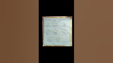 DElEd 3rd semester assignment S3.2// #youtube #shortsfeed #explore ##deled #fypシ