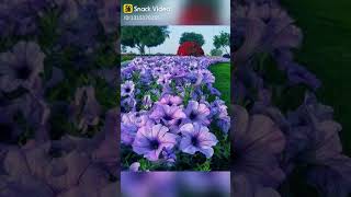 16 De Março De 2020