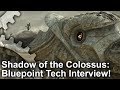 Shadow of the Colossus PS4: Bluepoint Games Tech Interview!