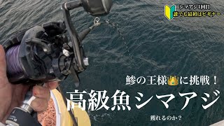 ?誰でも最初はビギナー【初挑戦シマアジ釣り】鯵の王様・強烈な引きの高級魚を釣り上げることができるのか？　シマアジ　船釣り　釣り