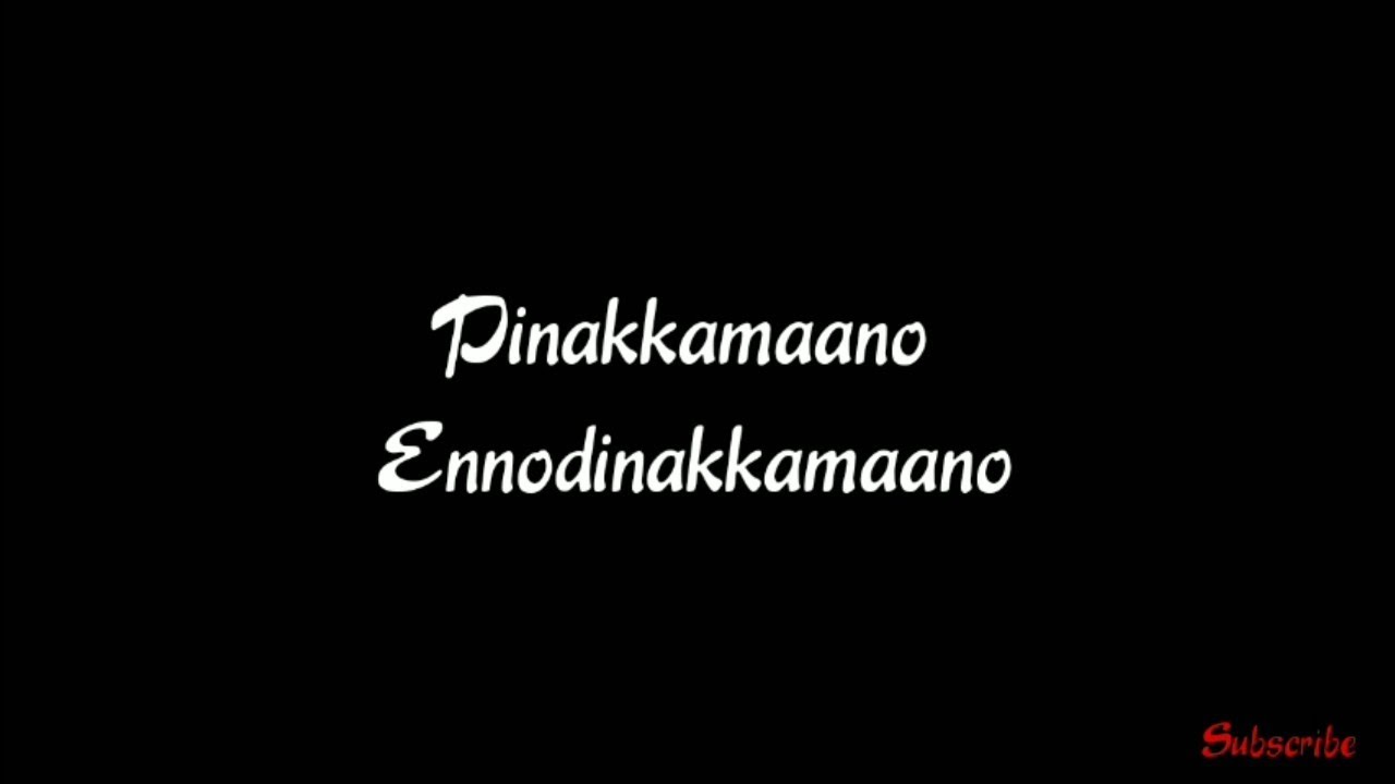 Pinakkamano Ennodinakamano LyricsAnandabhadram Malayalam movie Prithviraj SukumaranKavya Madhavan