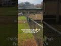#reflectdogs