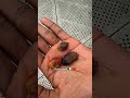 Нигерия 🫶🏼 Что думаете о таких ‘’бедных’’ странах? Решились бы поехать? Или Бали и Турция все же?