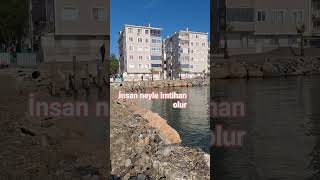 Insan Neyle Imtihan Olur Şfet
