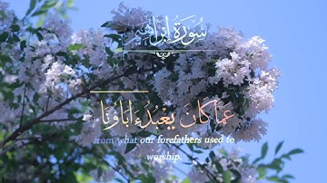 تلاوة من سورة إبراهيم☘️ بصوت الشيخ احمد النفيس☘️