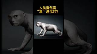 人類竟然是由＂魚＂進化演變的 #科普 #shorts