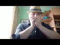 One Republic -- Counting stars harmonica cover