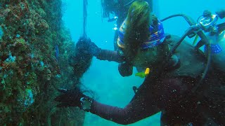 Scuba Divers Epic Mission Against Plastic by The Koala 65 views 2 months ago 3 minutes, 17 seconds
