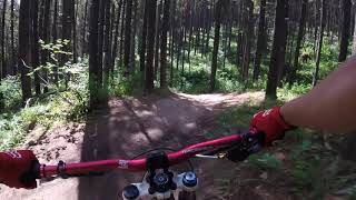 7-27 Trail Moose Mountain - Bragg Creek