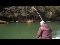 管理釣り場でフライフィッシング　その1.1インジケーターの釣り　Indicator Fly fishing for Trout
