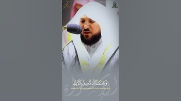 (وما نرسل بالأيات إلا تخويفا) تلاوة خاشعة للشيخ د. ماهر المعيقلي