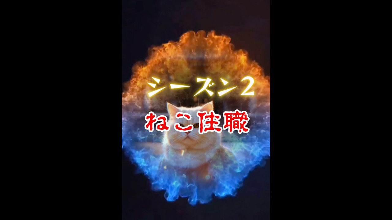 【#ねこ住職 シーズン2 第1話 胸を張って足を上げてワン・ツーパンチ？！な？！の舞 】