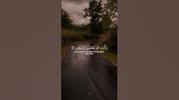 الذي خلقني فهو يهدين _ عبد الباسط عبد الصمد - سورة الشعراء - كرومات -