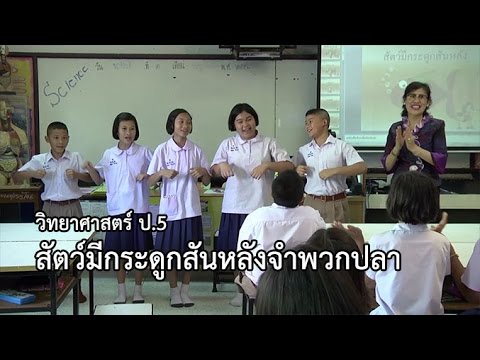 วิทยาศาสตร์ ป.5 สัตว์มีกระดูกสันหลังจำพวกปลา ครูมุกดาภรณ์ พนาสรรค์