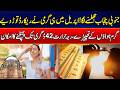Heatwave Hits Early | South Punjab Temperatures Soar to 42°C! | News Updates | Rohi