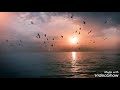 يا طيرة طيري يا حمامة