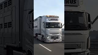 'MARKUS' skin and accessory mod for Volvo fh16 780 Aero, Ets2 Truck.