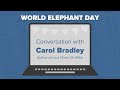 The Elephant Sanctuary | World Elephant Day Conversation with Carol Bradley