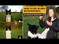 Understanding Blurry Backgrounds in Photography