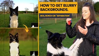 How to get blurry backgrounds in photographs: It's all in the relative distances (and focal length!)